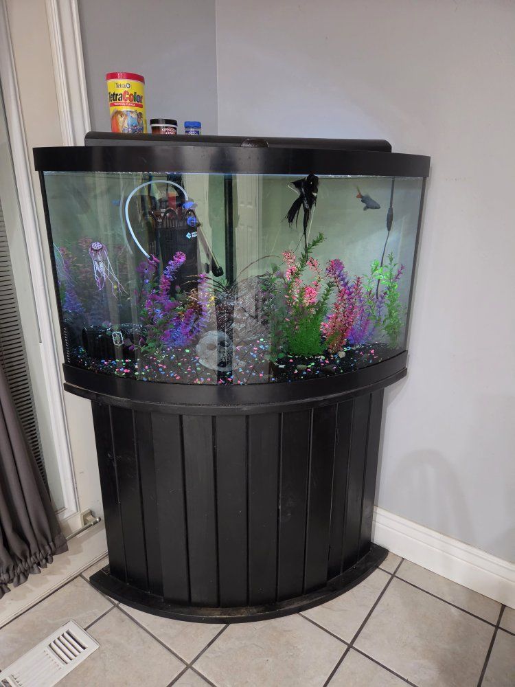 Large Bowfront Glass Aquarium Fish Tank with Stand and Accessories
