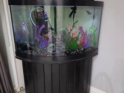Large Bowfront Glass Aquarium Fish Tank with Stand and Accessories