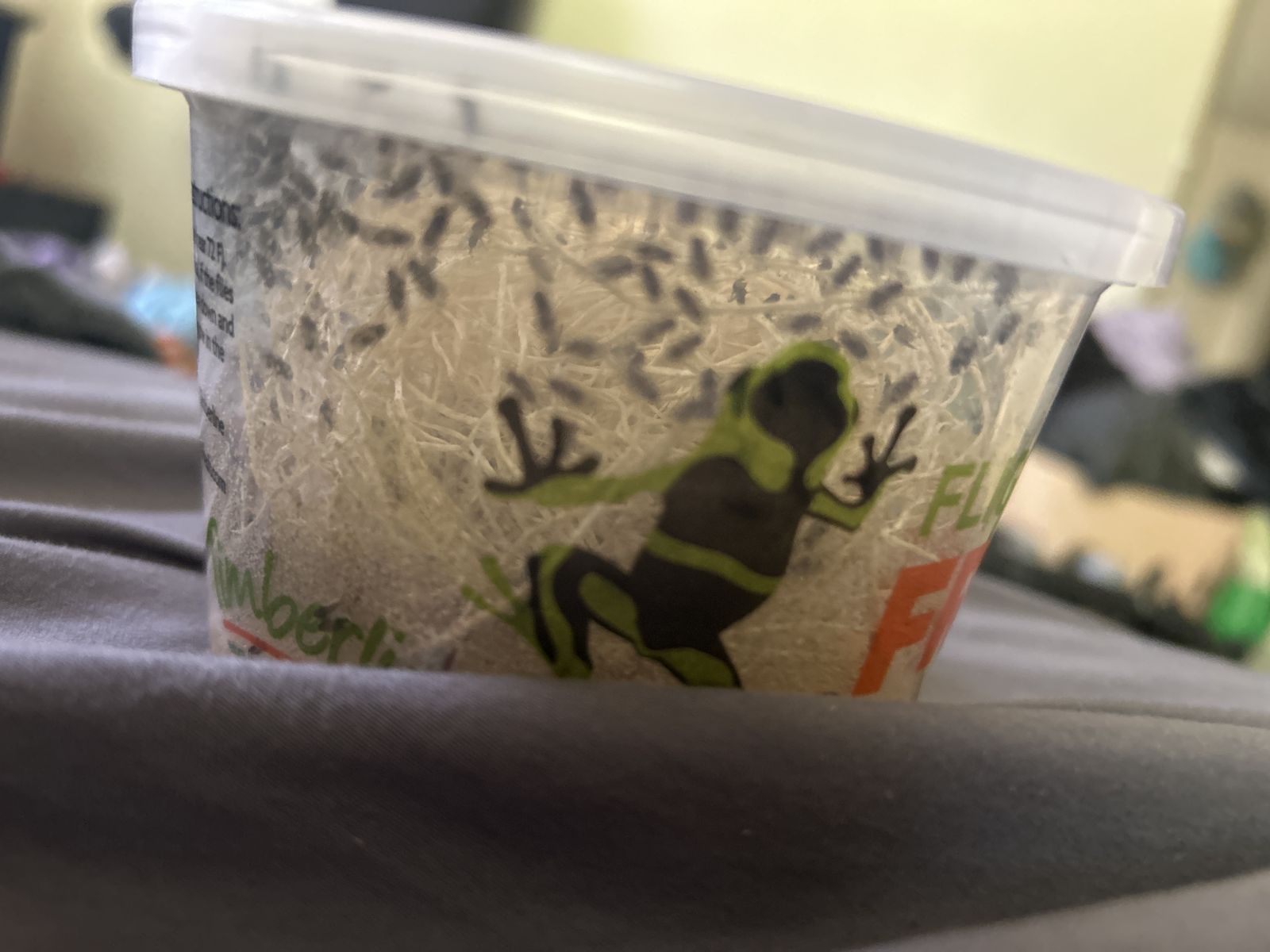 Free fruit flies