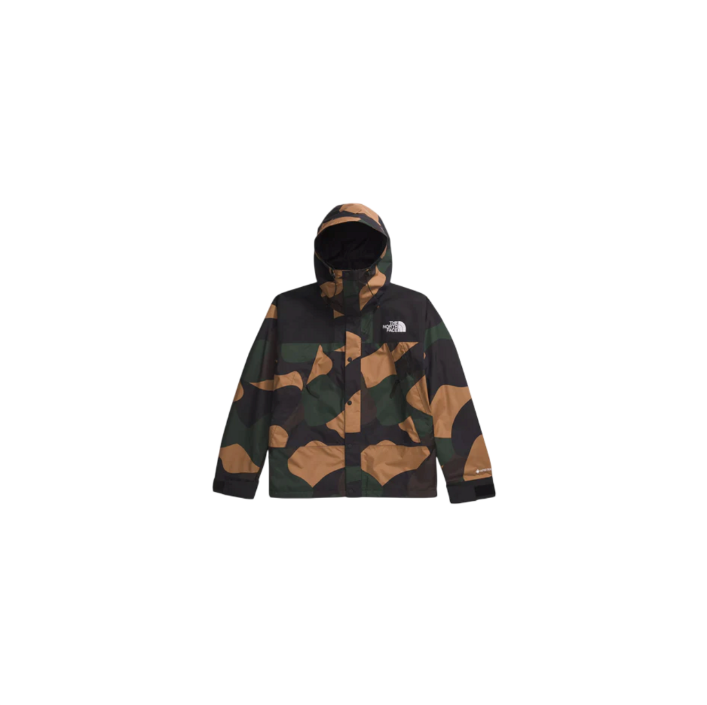 The North Face Men's GTX Mountain Jacket