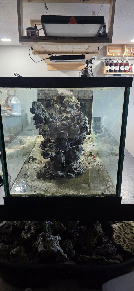 120g reef tank peninsula w/custom arch