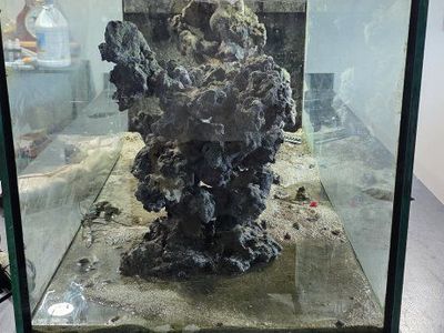 120g reef tank peninsula w/custom arch