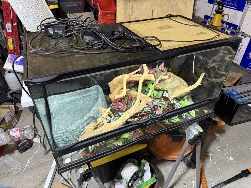 Snake/Reptile Enclosure/Tnak