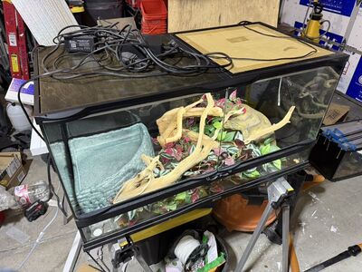 Snake/Reptile Enclosure/Tnak