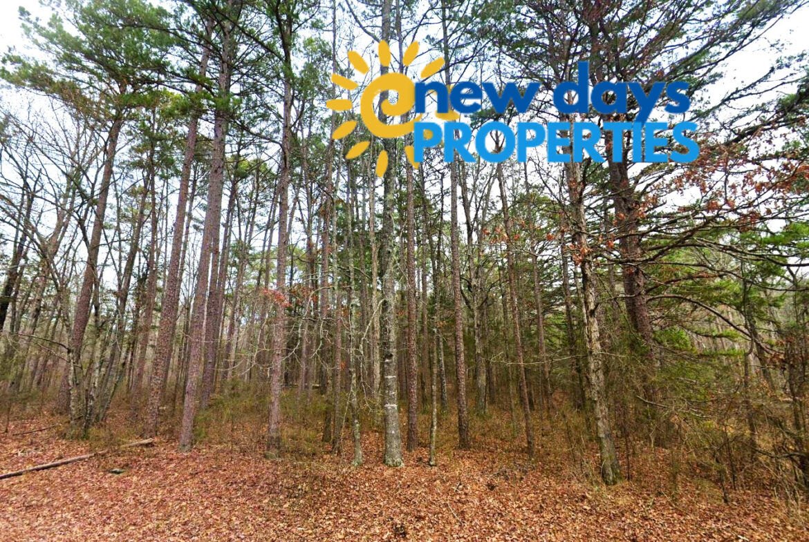 0.47-Acre Land for Sale in Mountain View Arkansas