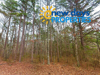 0.47-Acre Land for Sale in Mountain View Arkansas