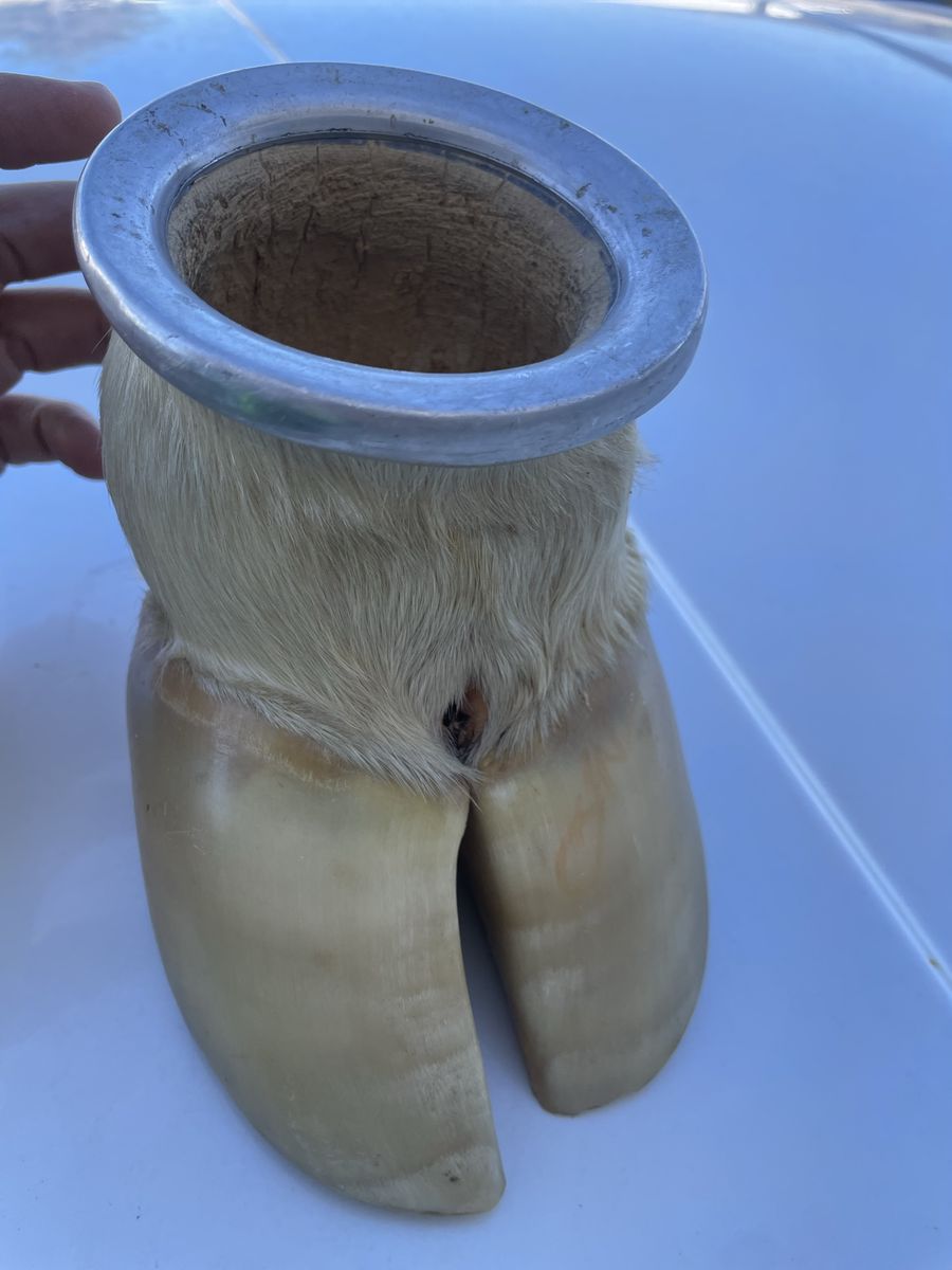 Genuine Cow Hoof Drinkware - Unique Rustic Decor & Conversation Starter - Great Condition