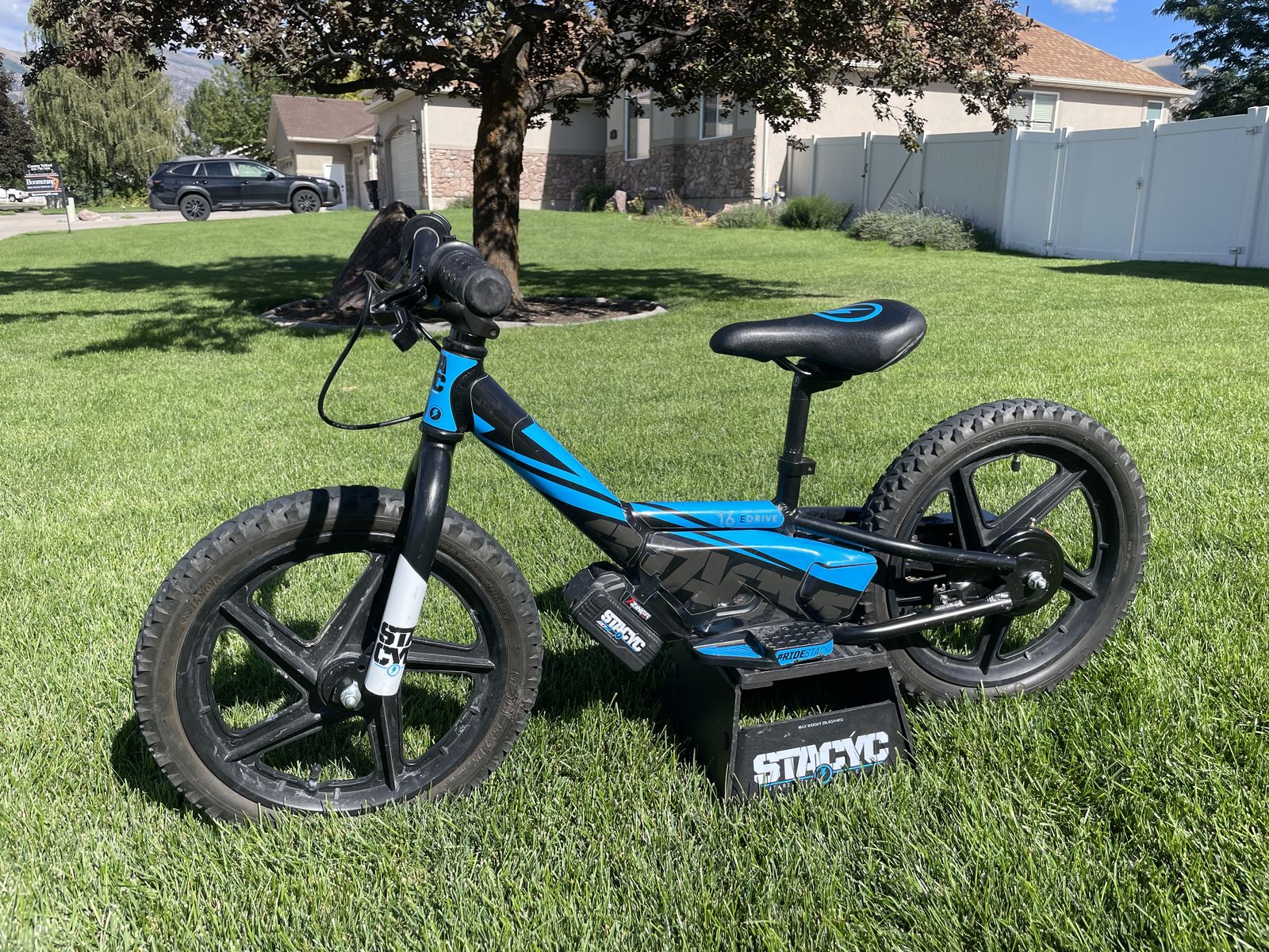 Stacyc 16 eDrive