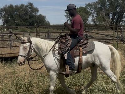 Project colt