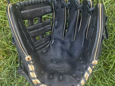 Rawlings Gold Glove Elite 13 in. Baseball/Softball Glove