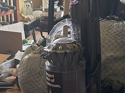 Dyson Ball Animal 2 Vacuum