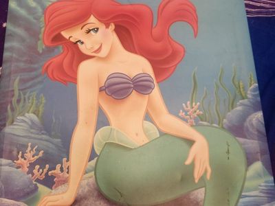 Disney Little Mermaid Ariel Wooden Canvas Wall Art - Beauty of the Sea (Damaged Frame)
