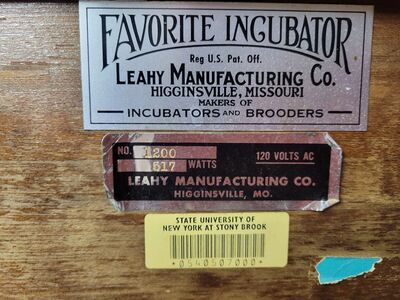 Vintage egg incubator