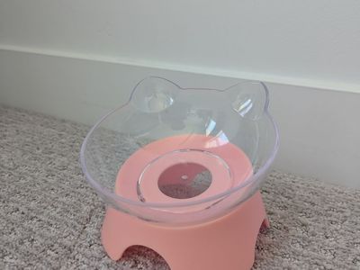 Clear/Pink Cat Food Bowl