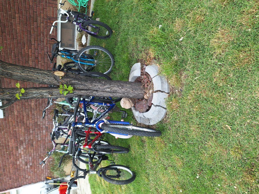 bicycle's 10 dollars each