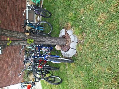 bicycle's 10 dollars each