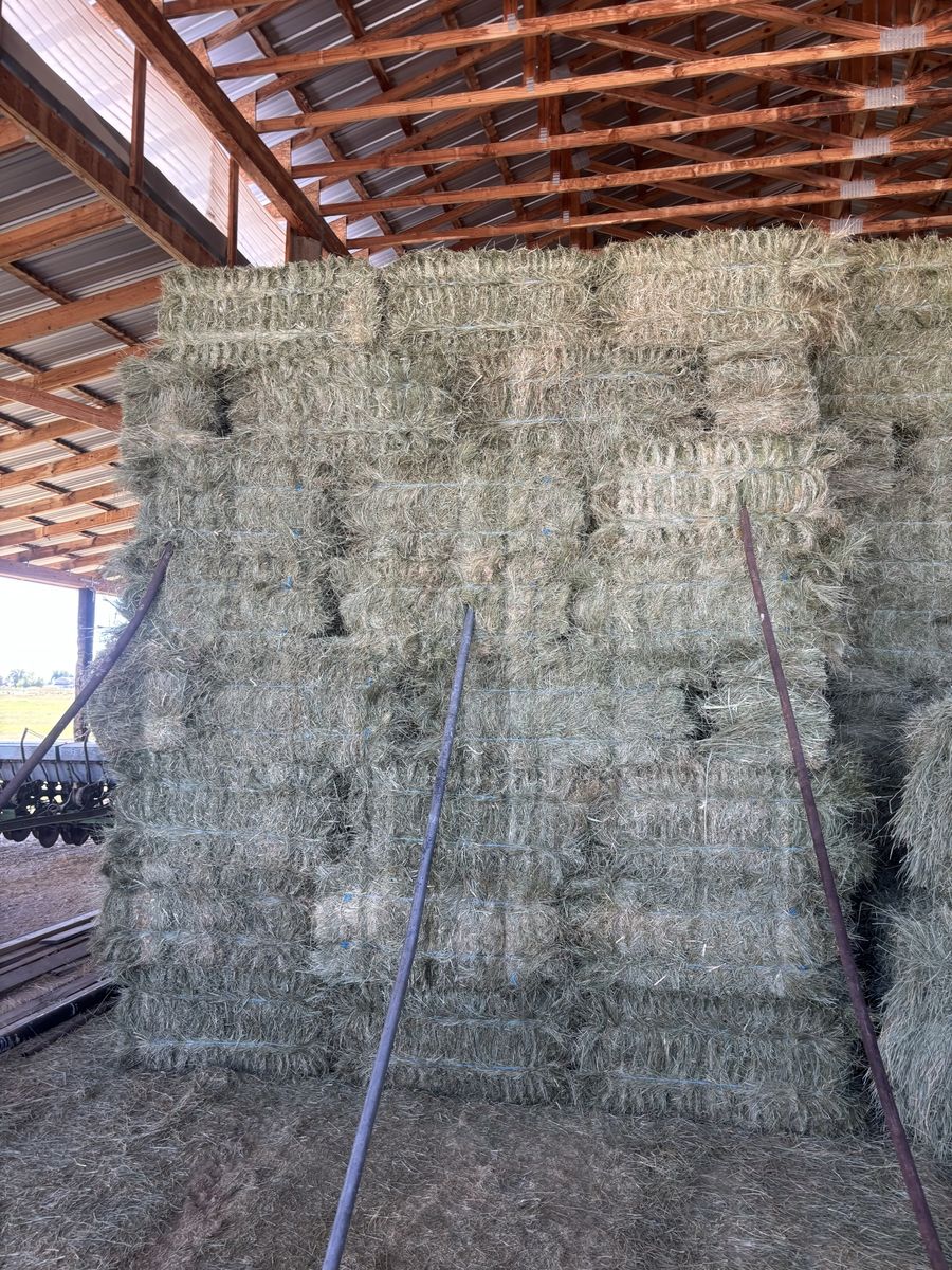 Good Grass Hay