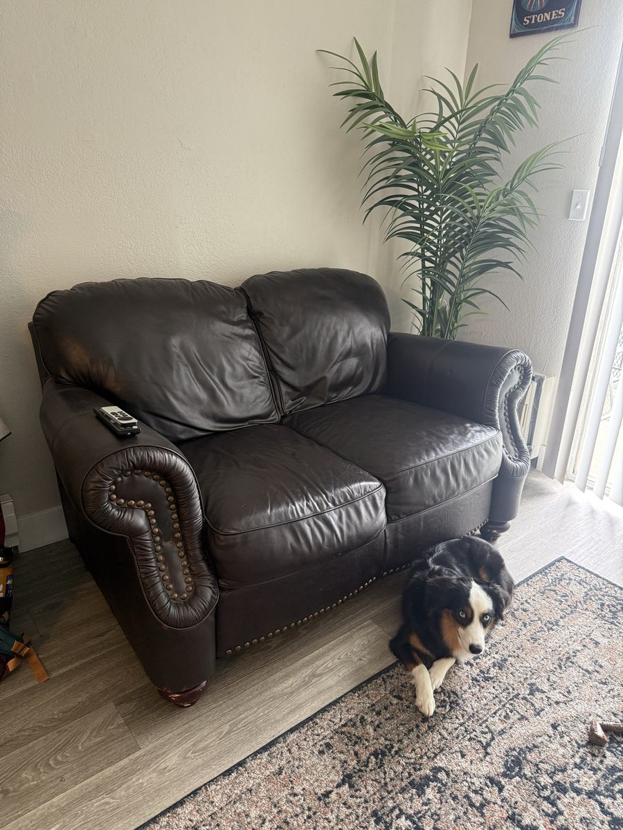Dark Brown Leather Loveseat with Nailhead Trim