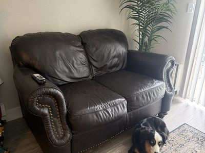 Dark Brown Leather Loveseat with Nailhead Trim