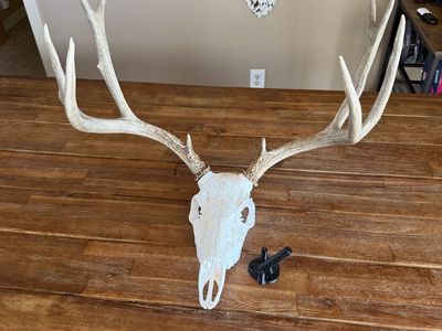 European Mounts