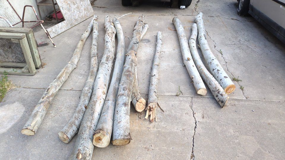 Aspen Logs for Crafts & Decor - Natural White Bark, Various Lengths