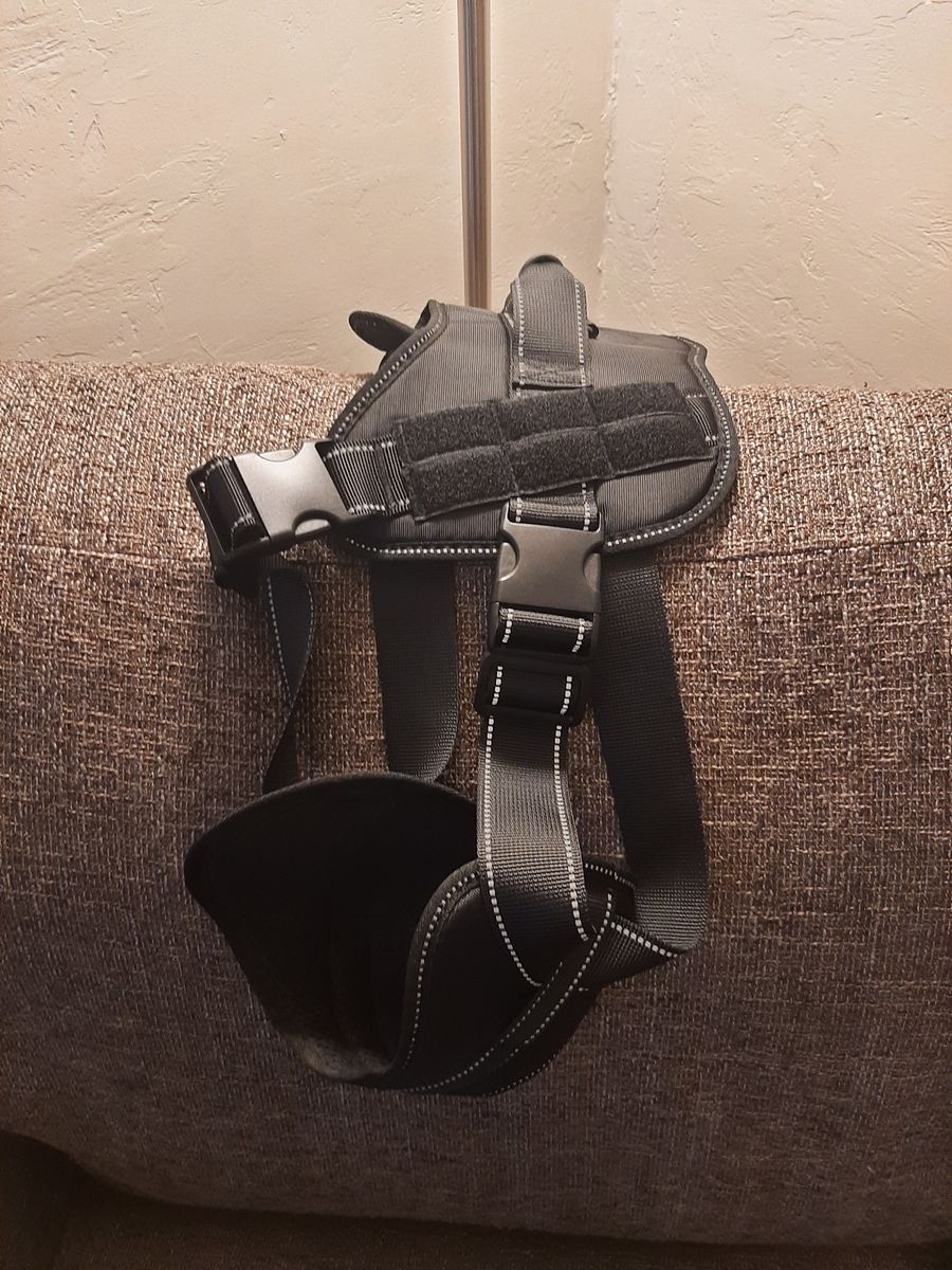 XL Dog Harness