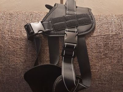 XL Dog Harness