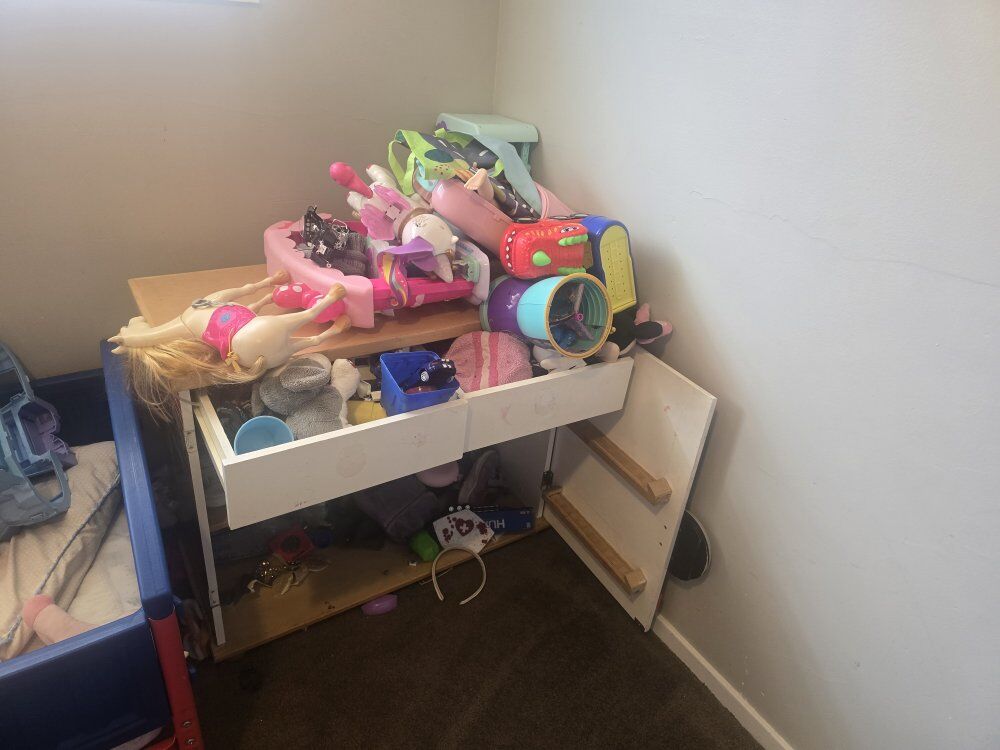 FREE THOMAS TRAIN STORAGE CABINET