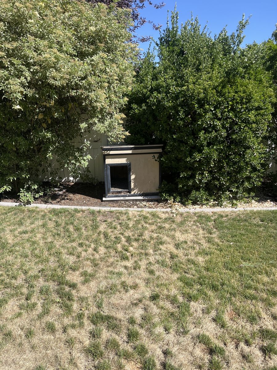 Main image 2