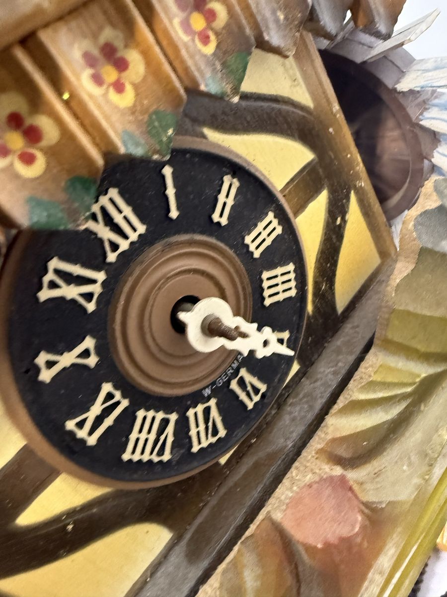 Main image 6