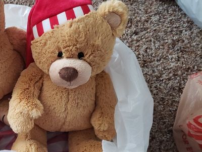 Cute Brown Teddy Bear Plush Toy with Red & White Striped Winter Hat - Soft Stuffed Animal