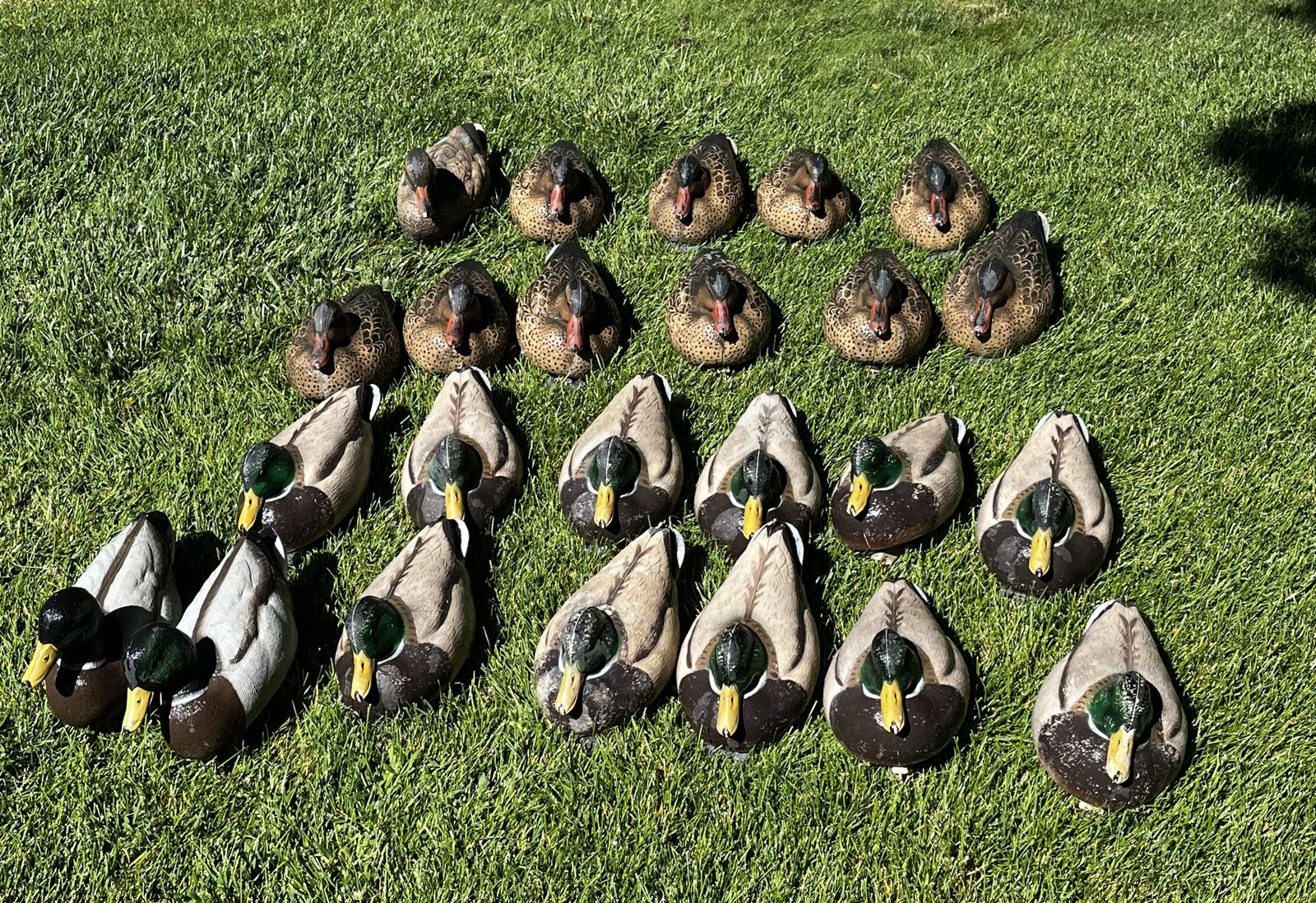 Duck Decoys 3 dozen rigged and ready