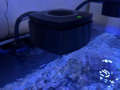 2x AI prime 16HD W/ gooseneck and shades