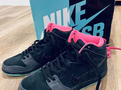 Nike Dunk High Premium SB Northern Lights