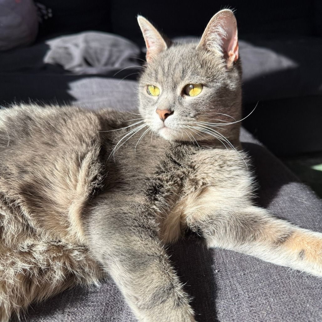 Stevie: playful lover boy