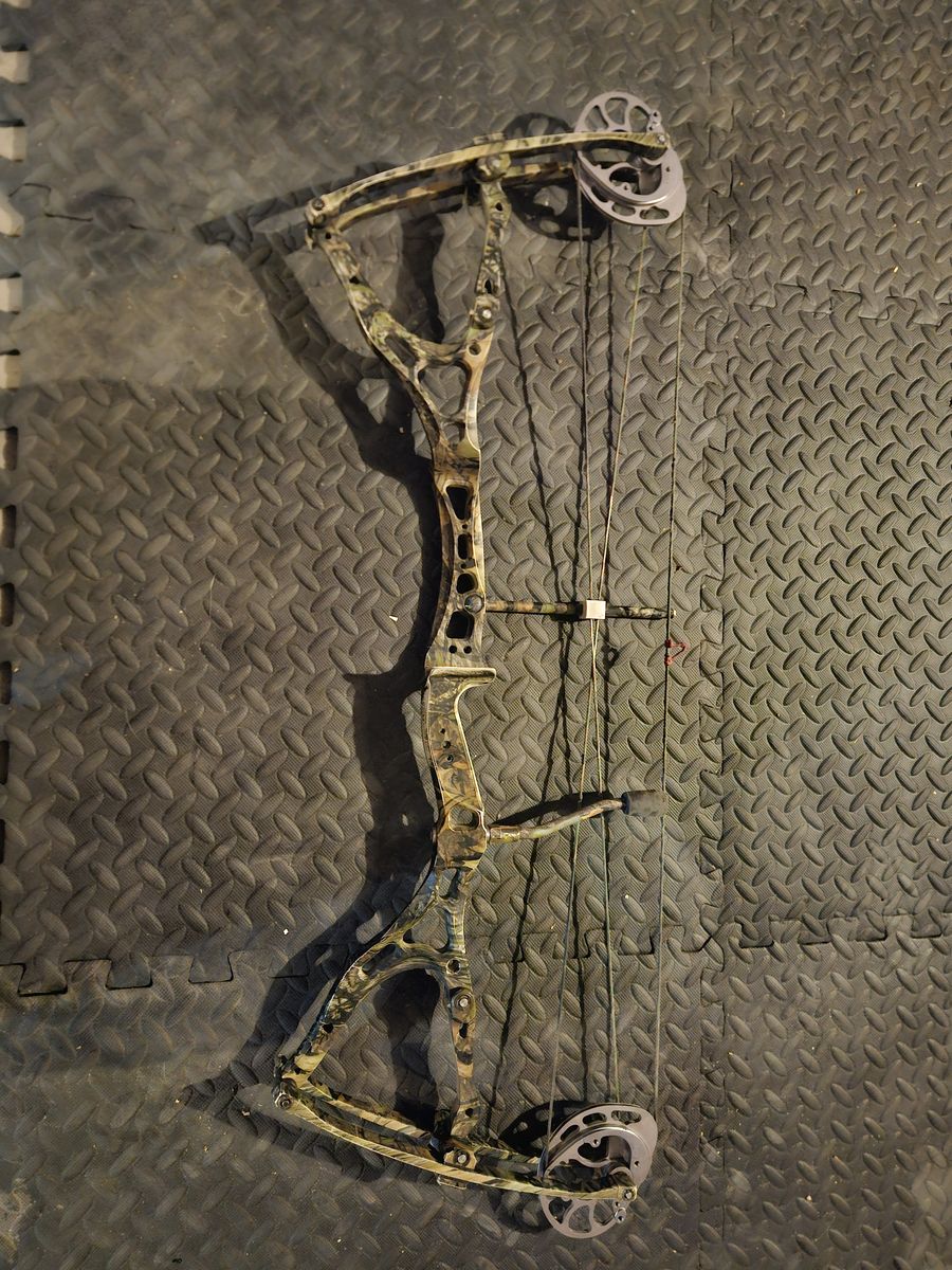 Main image 6