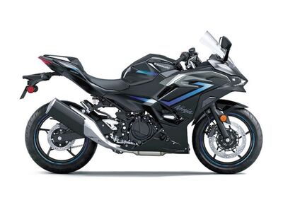 2025 Kawasaki Ninja® 500 SE ABS
