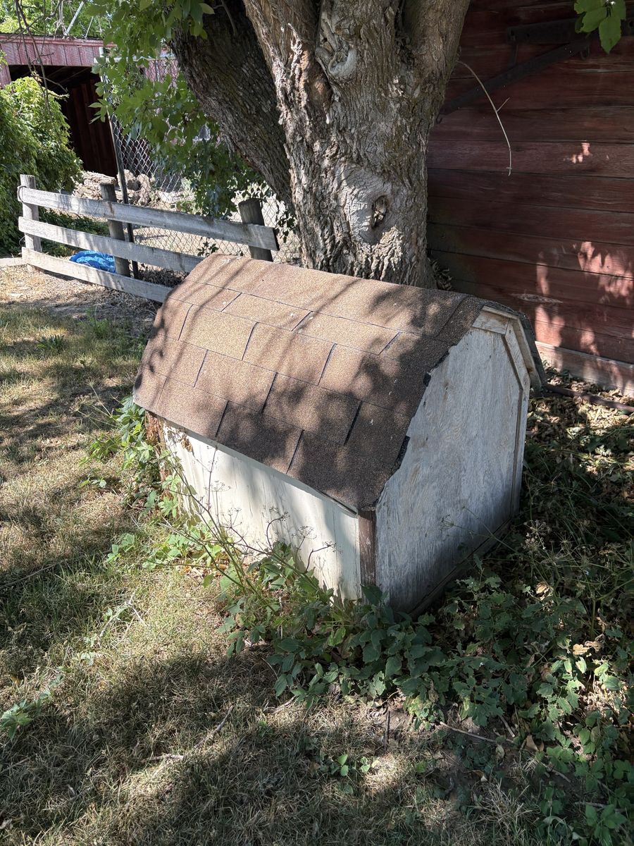 Used Wooden Dog House with Shingled Roof - Small Pet Shelter