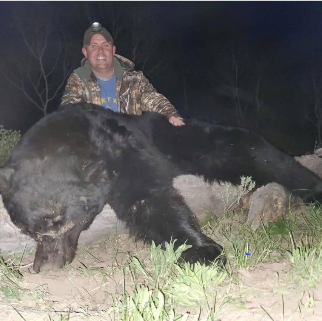 Now Booking Wyoming Spring Bear Hunts!