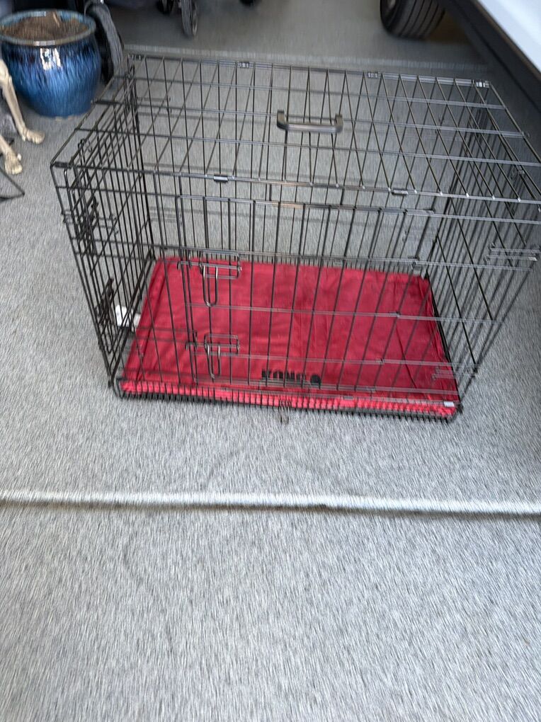 Medium breed dog Crate