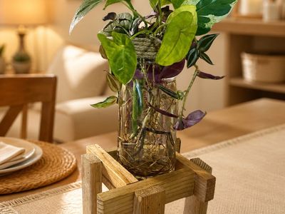Plant propagation station with cuttings