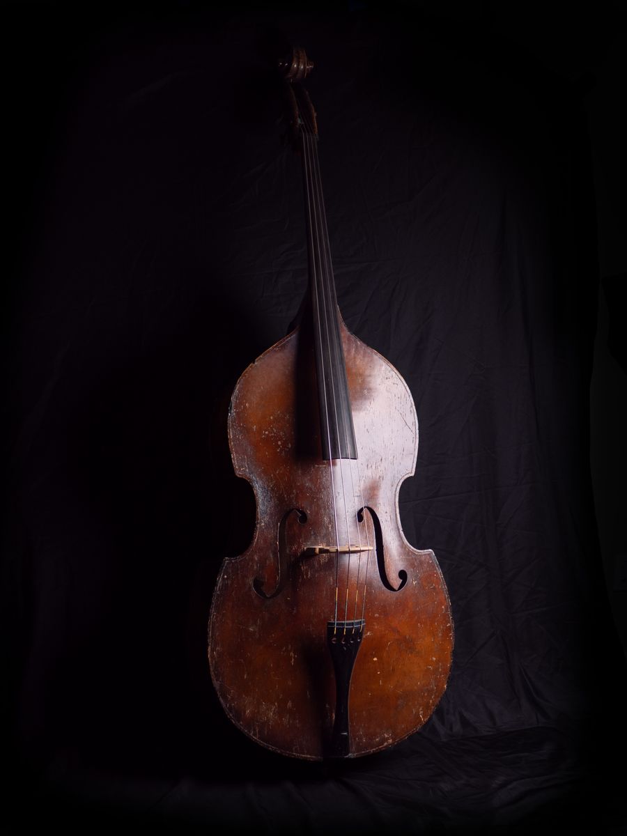 3/4 Gig-Ready Double Bass ($1600)