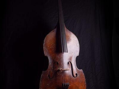 3/4 Gig-Ready Double Bass ($1600)