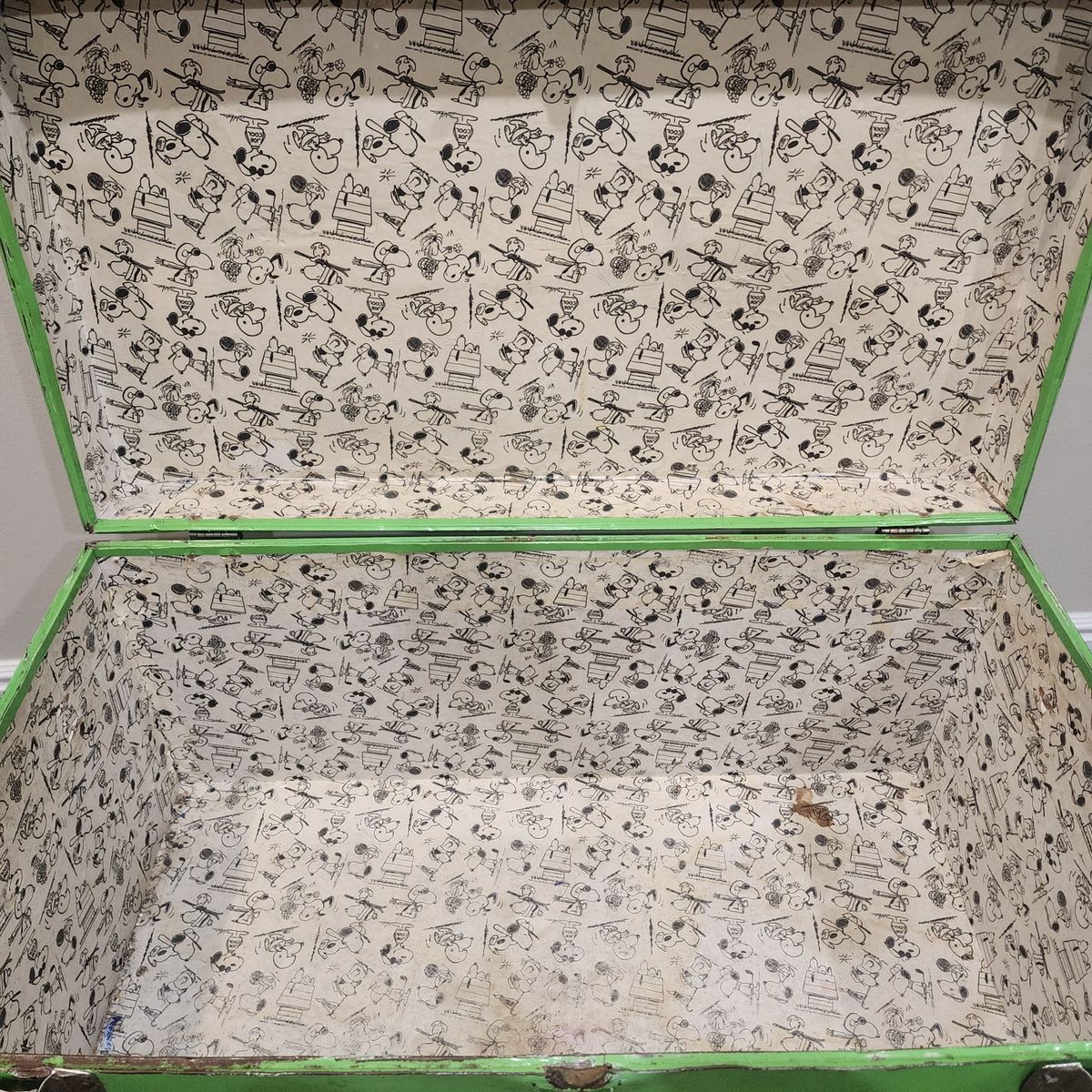 Main image 6