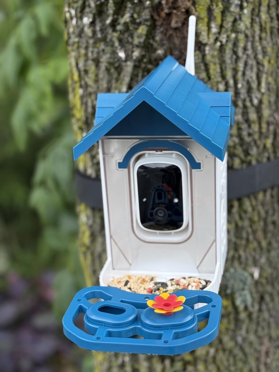 New in box Smart Bird Feeder with Camera & Solar Powered