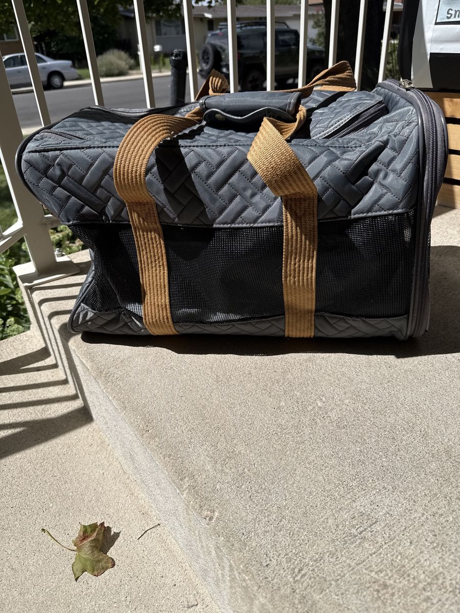 Kitty Carrier