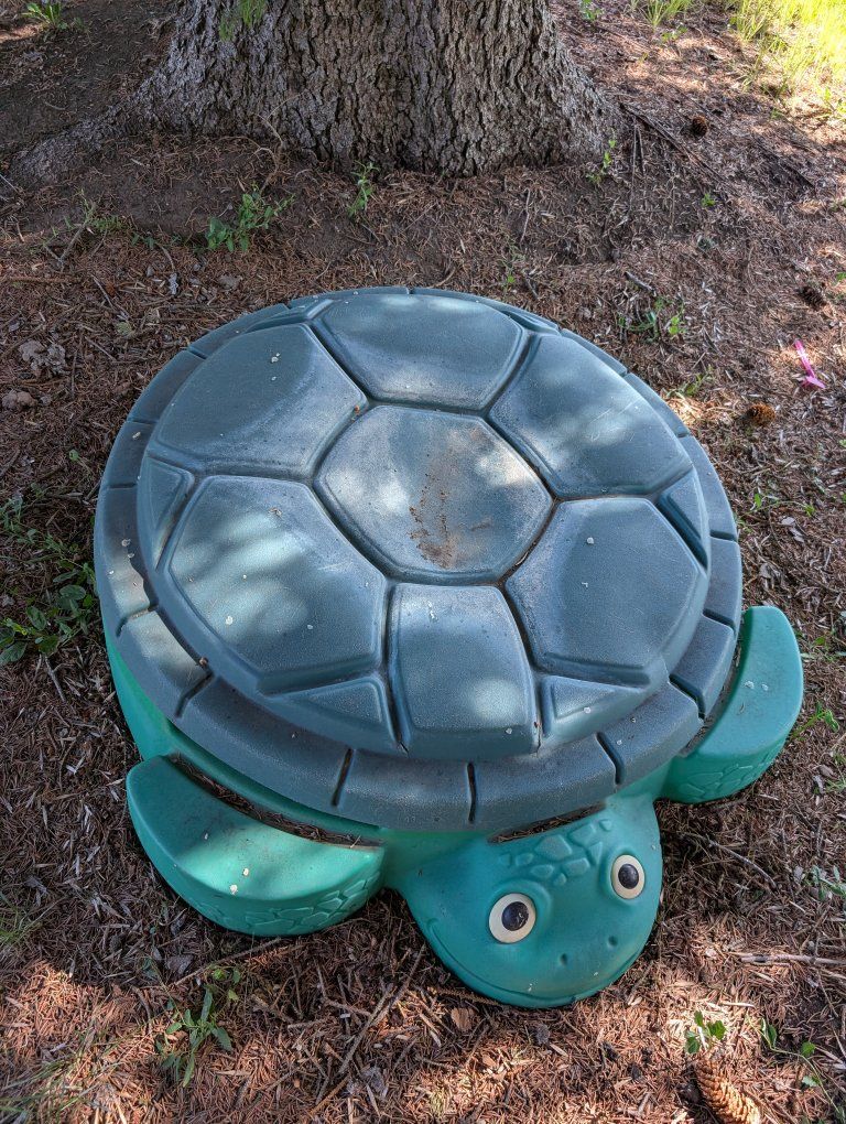 free sand box turtle