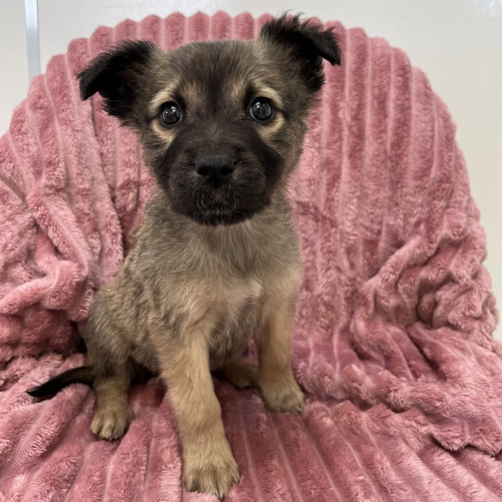 Hello my name is Sabini