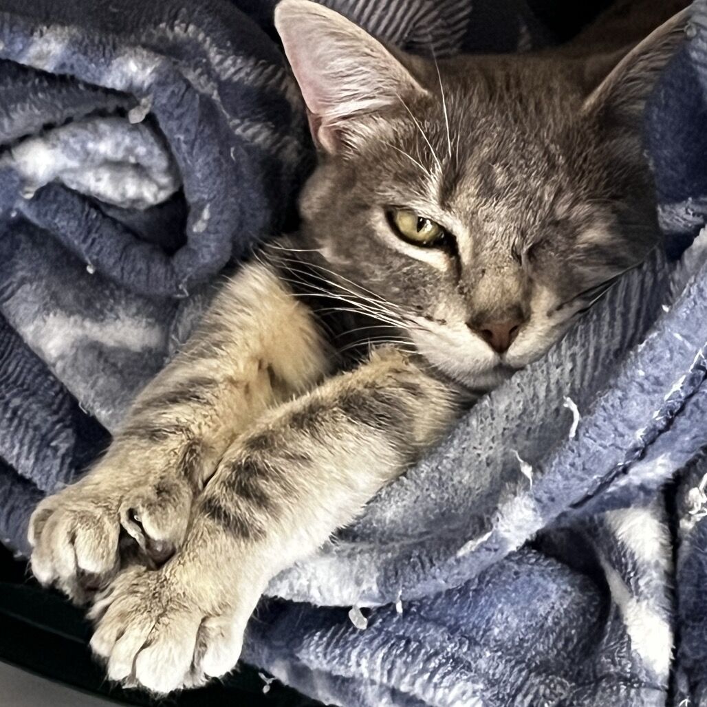 Hello my name is Rhiannon