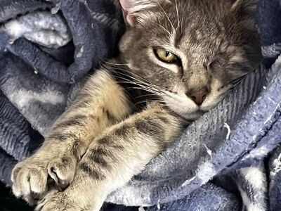 Hello my name is Rhiannon